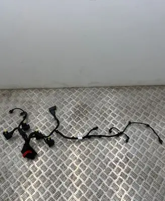 Renault Arkana Gearbox/transmission wiring loom 2517256425
