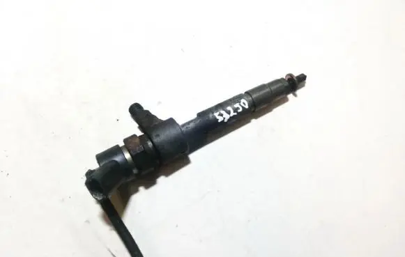 Fiat Punto (188) Fuel injector 0445110019 1109110808505