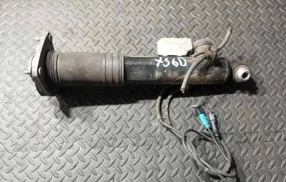 Rear shock absorber/damper
