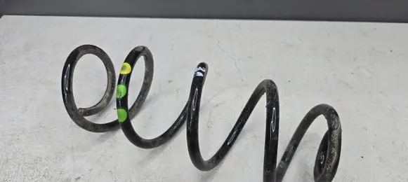 Dacia Sandero III Rear coil spring