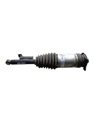 Rear shock absorber/damper