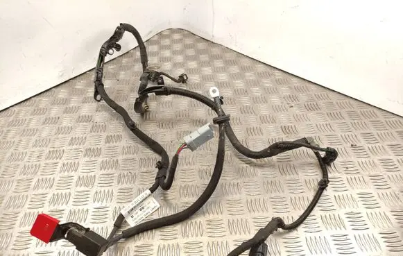 Citroen C4 III e-C4 Positive cable (battery) 9841131680