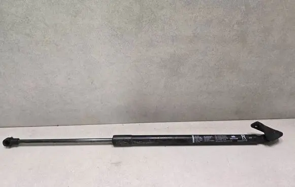 Tailgate/trunk strut/damper