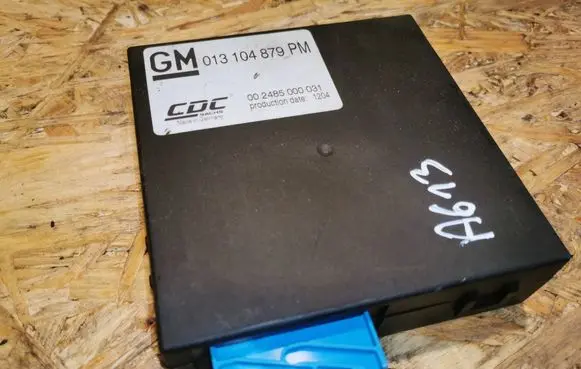 Opel Astra H Other control units/modules 013104879 002485000031