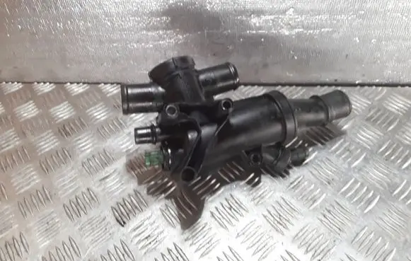 Thermostat/thermostat housing
