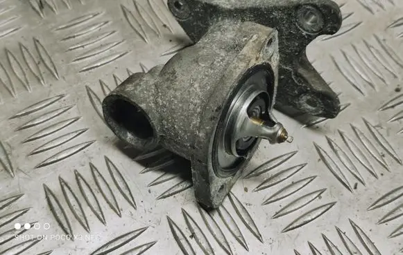 Thermostat/thermostat housing