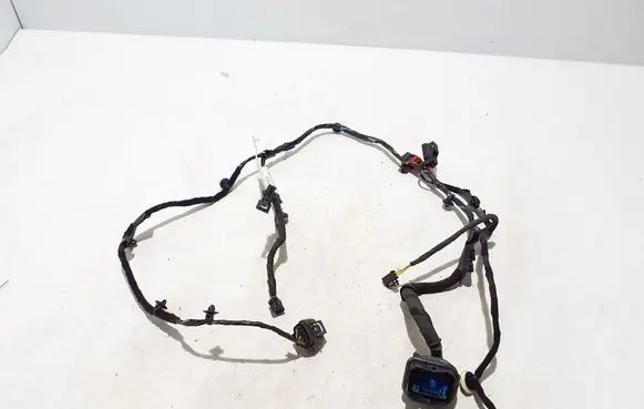 Other wiring loom