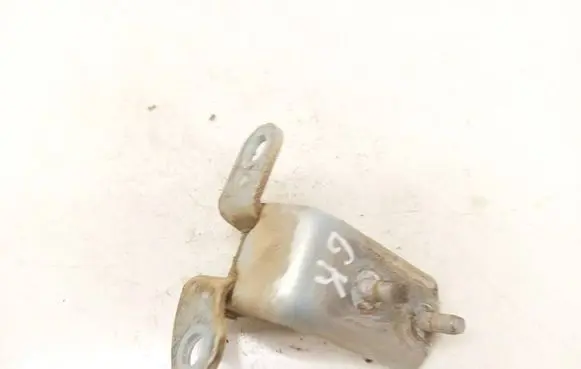 Toyota Yaris Rear door lower hinge 