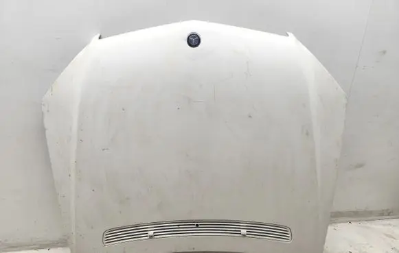Engine bonnet/hood