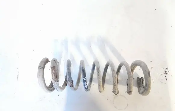 Renault Scenic RX Rear coil spring