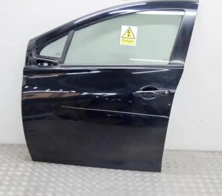 Renault Zoe Front door 801011691R