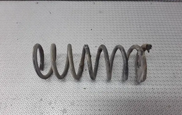 Ford Focus C-MAX Rear coil spring