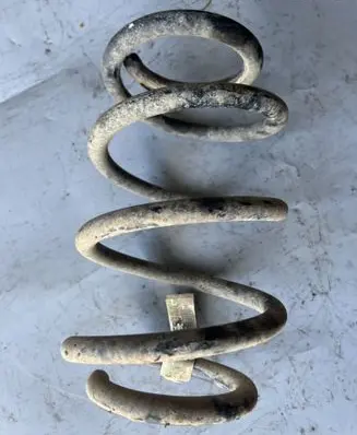 Rear coil spring