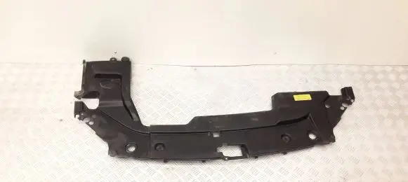 Engine bonnet/hood lock trim molding