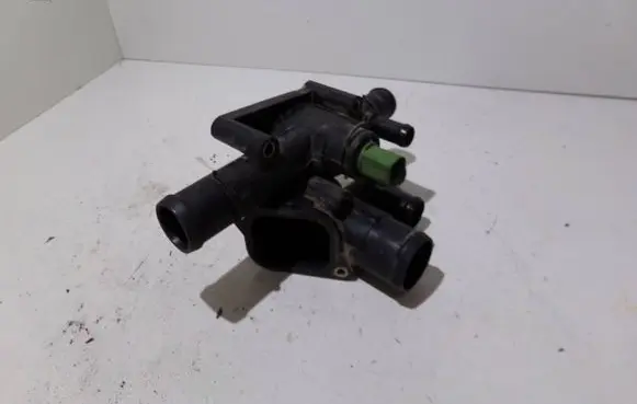 Thermostat/thermostat housing