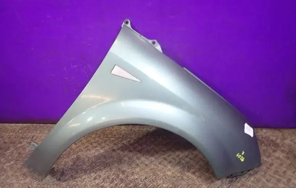 Renault Scenic II - Grand scenic II Fender 