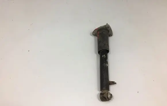 BMW X5 E70 Rear shock absorber/damper 6782878