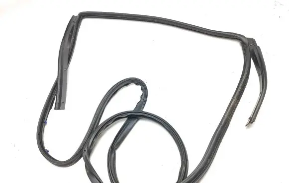 Renault Kadjar Rubber seal rear door 