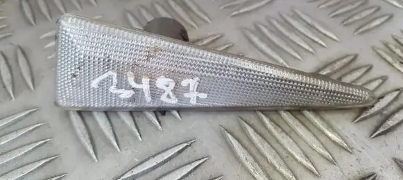Front fender indicator light