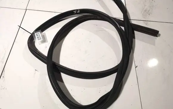 Nissan Qashqai Rubber seal front coupe door 
