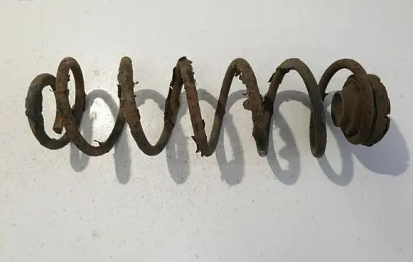 Rear coil spring