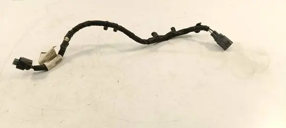 Other wiring loom