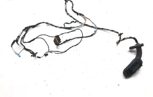 BMW X3 F25 Rear door wiring loom 9243664