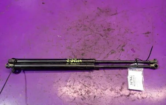 Renault Scenic I Tailgate strut 