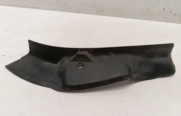 Rear/tail light trim molding