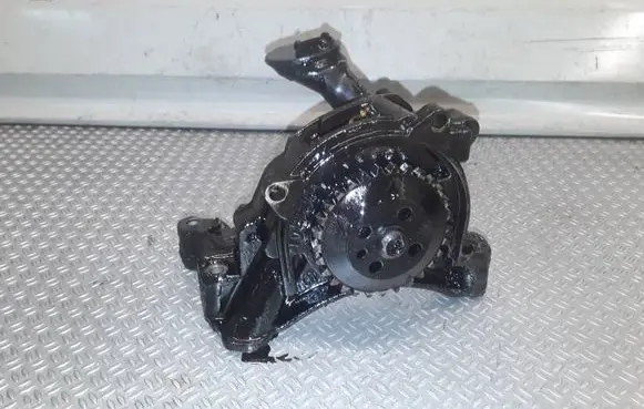 Volkswagen Golf VI Oil pump 113670201