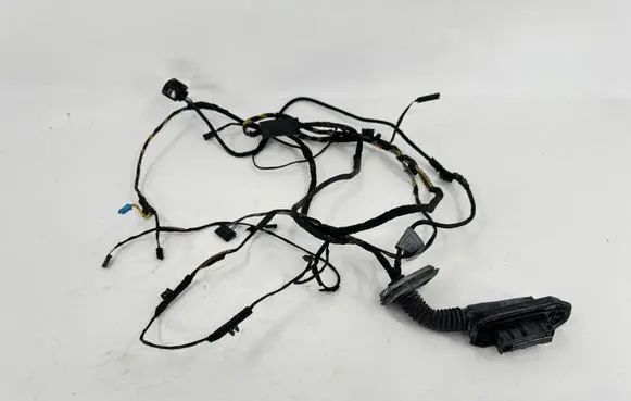 BMW 7 F01 F02 F03 F04 Rear door wiring loom 9212189