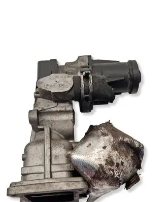 Volkswagen Golf VI EGR valve 11725509 0280751016