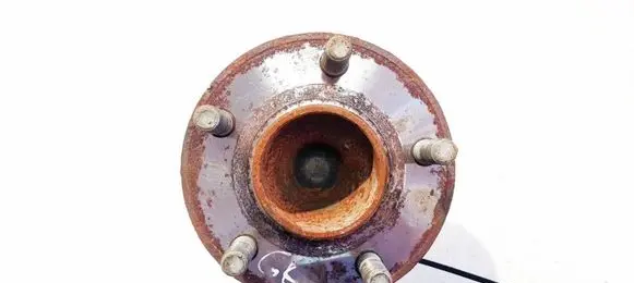 Ford Focus Rear wheel hub