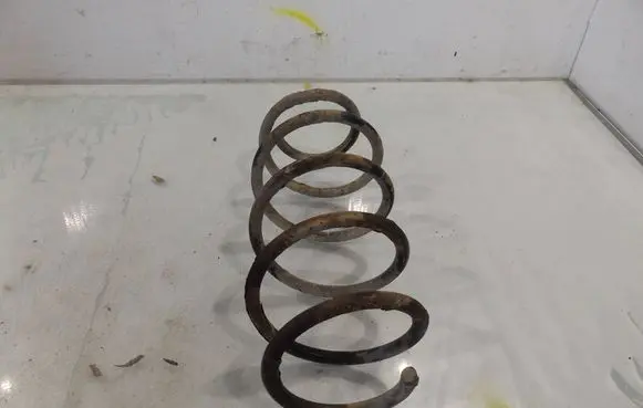 Seat Ibiza III (6L) Front coil spring