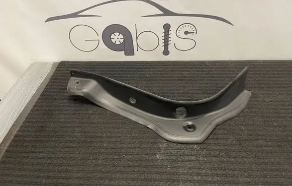 Rear/tail light trim molding