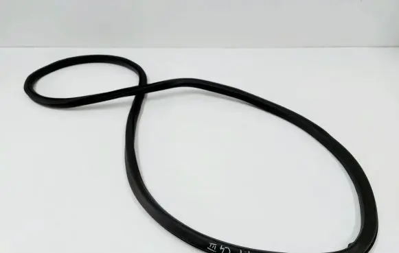 Citroen C4 III e-C4 Front door rubber seal