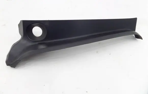 Rear/tail light trim molding