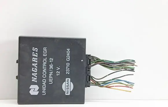 Nissan Terrano Other control units/modules 23710G2404