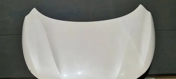 Engine bonnet/hood