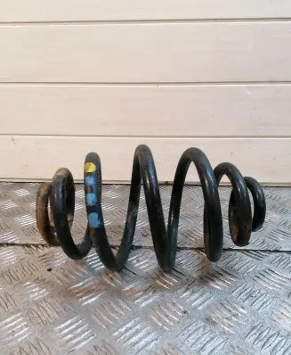 Rear coil spring