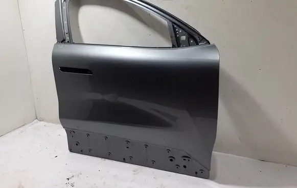 Renault Scenic E-Tech V Front door 801001525R