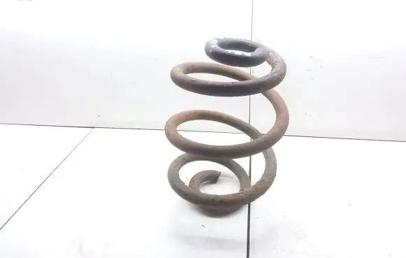 Rear coil spring