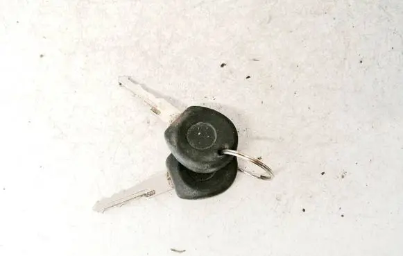 Volkswagen PASSAT B4 Ignition key/card 
