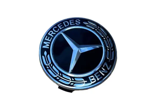 Mercedes-Benz E W213 Original wheel cap A2224002100