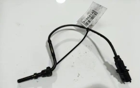 Fiat Sedici Exhaust gas temperature sensor 