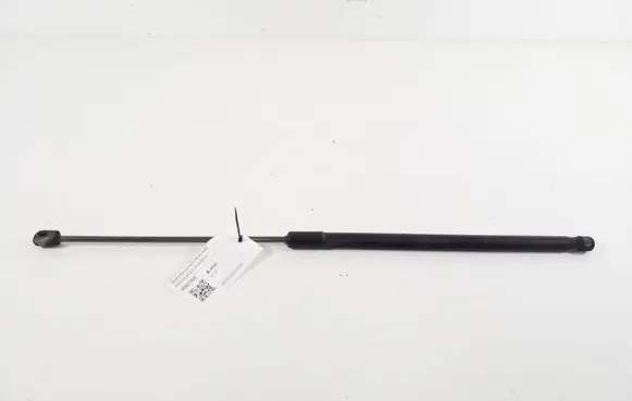 Tailgate strut