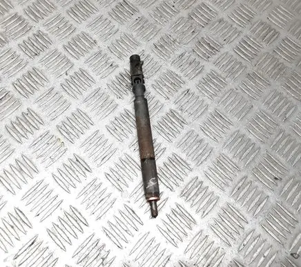 SsangYong Rexton Fuel injector EJBR04401D 2555WY A665017