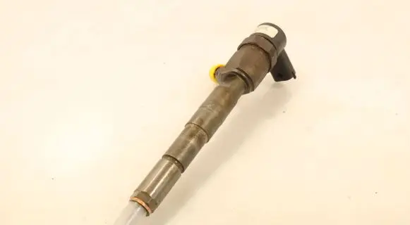 Fiat Ducato Fuel injector 0445110419