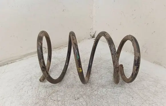 Front coil spring