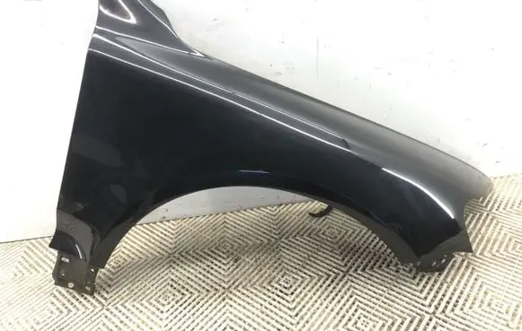 Volkswagen Touareg I Fender